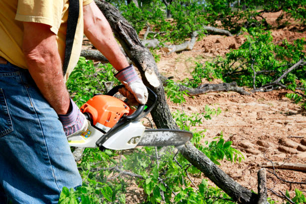 Mulching Services in Warm Beach, WA